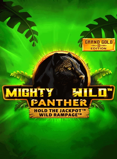 Cricket fantasy sports game cover